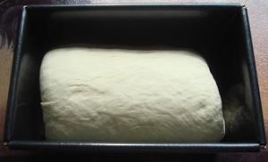 Rising Bread Dough