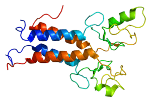 Protein_BRCA1_PDB_1jm7