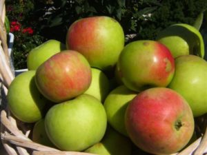 kedem-apples