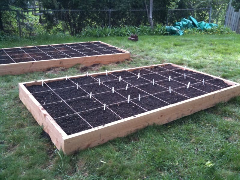 Noshin's Victory Garden: Tips to Get You Started | TC Jewfolk