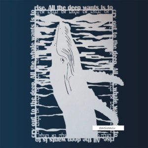 All the whale wants, Aaron HGS, Papercut
