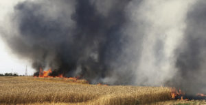 Landscape being torched by kites lit on fire and sent into Israel from Gaza.